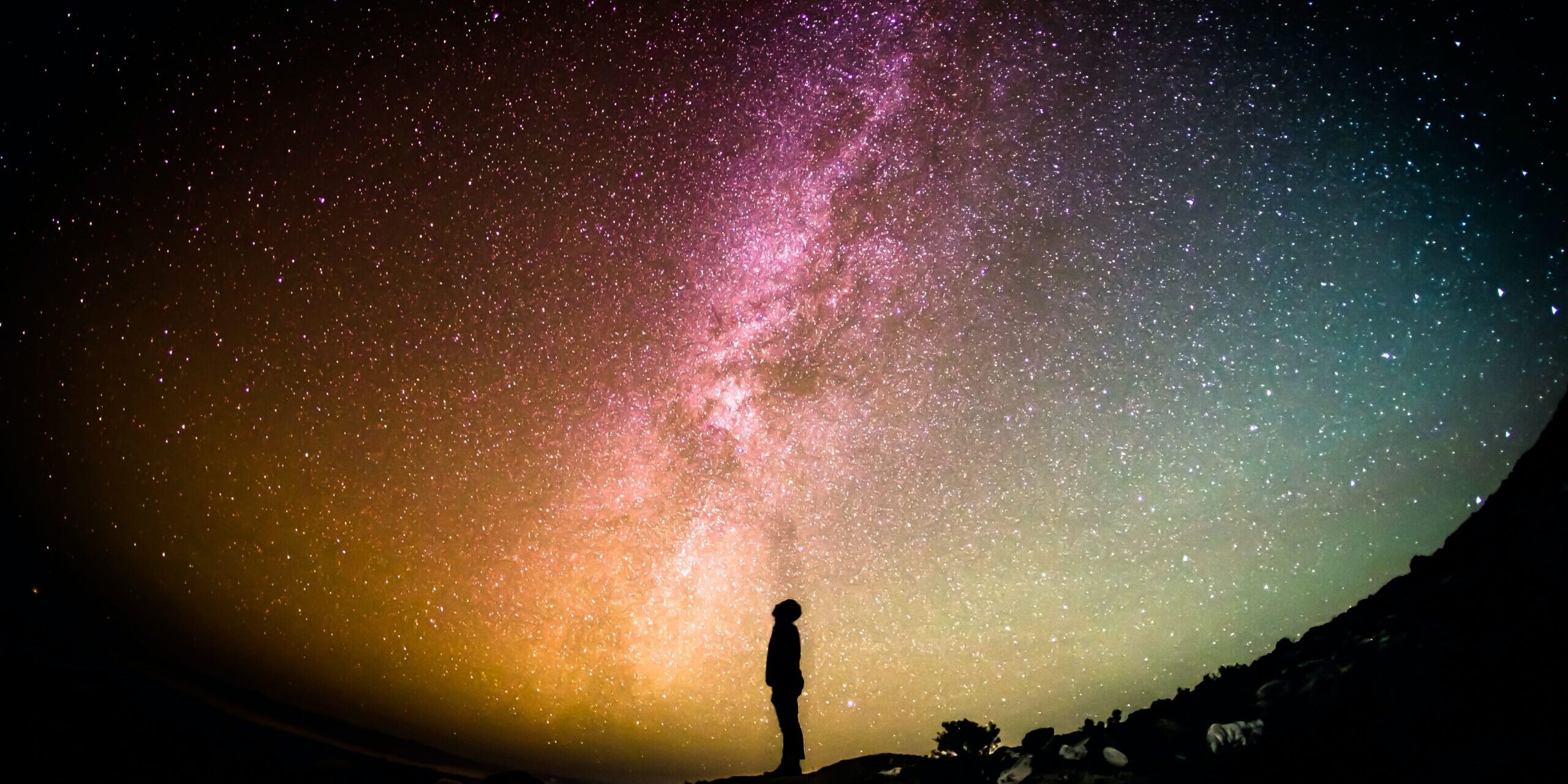 greg-rakozy-oMpAz-DN-9I-unsplash greg-rakozy-oMpAz-DN-9I-unsplash